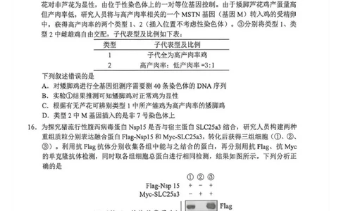 2026年广州二模-生物试题_2024-2026高三（6-6月题库）_2026年04月高三试卷_260424广东省广州市2026年广州市普通高中毕业班综合测试（二）(全科)广州二模