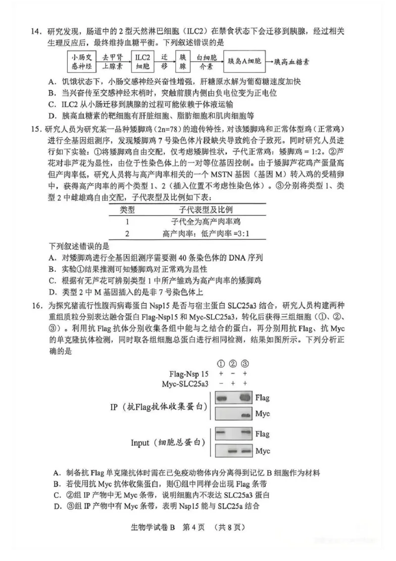 2026年广州二模-生物试题_2024-2026高三（6-6月题库）_2026年04月高三试卷_260424广东省广州市2026年广州市普通高中毕业班综合测试（二）(全科)广州二模