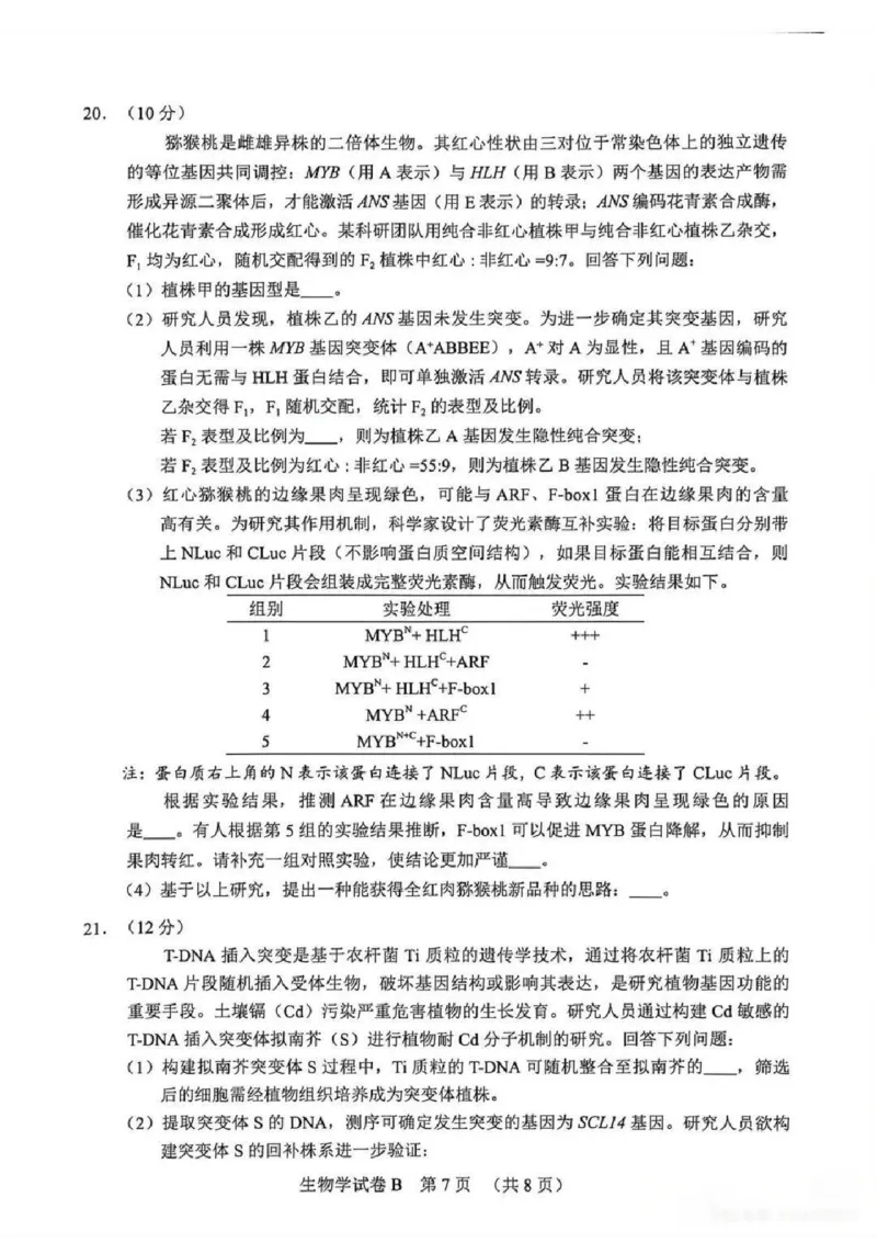 2026年广州二模-生物试题_2024-2026高三（6-6月题库）_2026年04月高三试卷_260424广东省广州市2026年广州市普通高中毕业班综合测试（二）(全科)广州二模