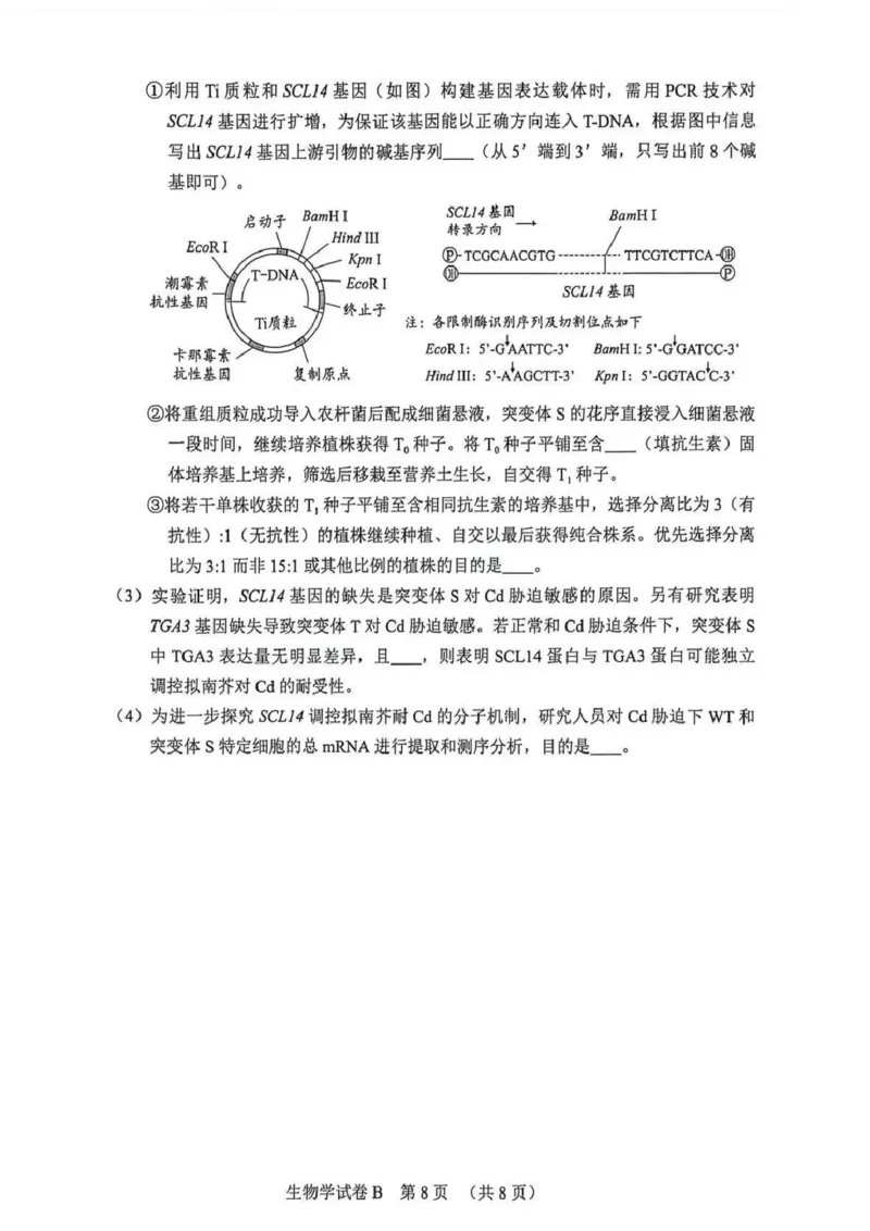 2026年广州二模-生物试题_2024-2026高三（6-6月题库）_2026年04月高三试卷_260424广东省广州市2026年广州市普通高中毕业班综合测试（二）(全科)广州二模