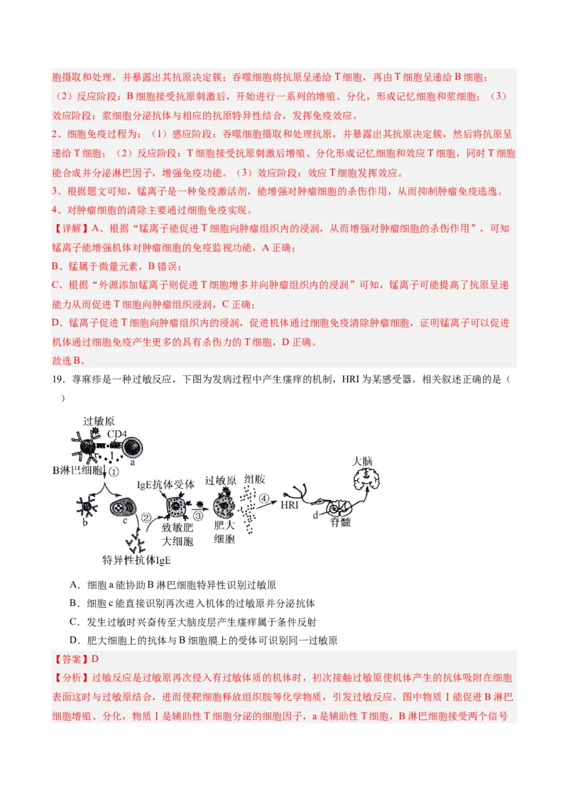 单元检测卷08稳态与调节（解析版）_2025年新高考资料_一轮复习_2025年高考生物一轮复习考点通关卷（新高考通用）