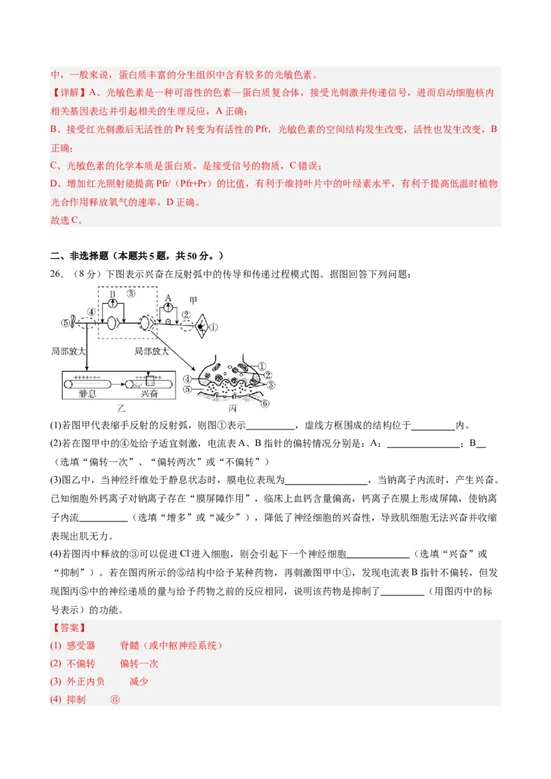 单元检测卷08稳态与调节（解析版）_2025年新高考资料_一轮复习_2025年高考生物一轮复习考点通关卷（新高考通用）
