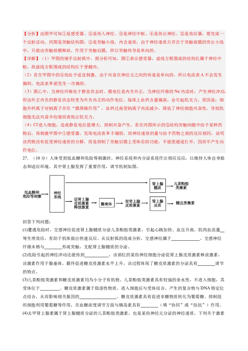 单元检测卷08稳态与调节（解析版）_2025年新高考资料_一轮复习_2025年高考生物一轮复习考点通关卷（新高考通用）