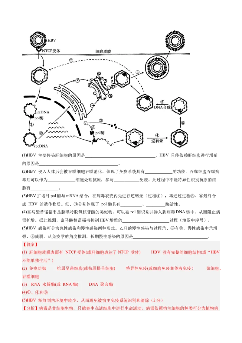 单元检测卷08稳态与调节（解析版）_2025年新高考资料_一轮复习_2025年高考生物一轮复习考点通关卷（新高考通用）