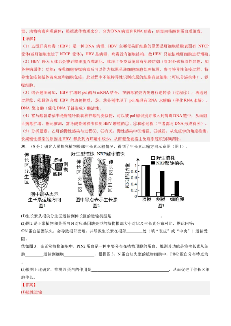 单元检测卷08稳态与调节（解析版）_2025年新高考资料_一轮复习_2025年高考生物一轮复习考点通关卷（新高考通用）