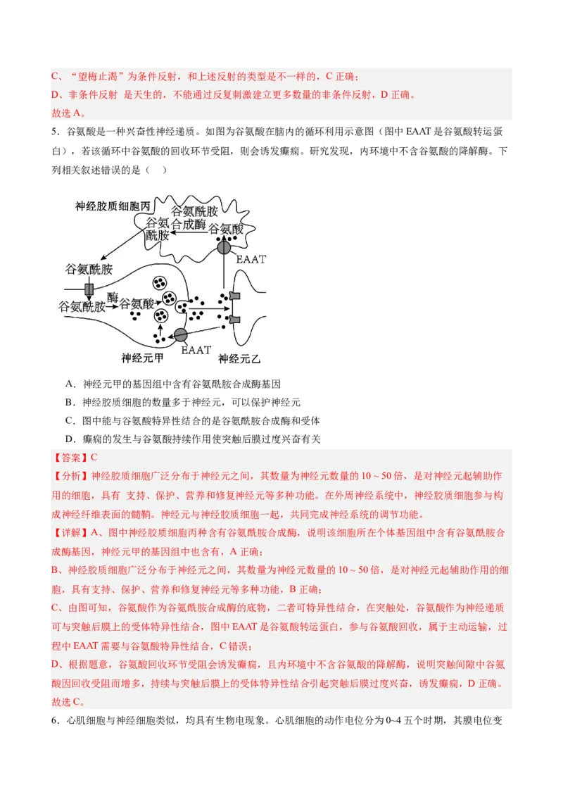单元检测卷08稳态与调节（解析版）_2025年新高考资料_一轮复习_2025年高考生物一轮复习考点通关卷（新高考通用）