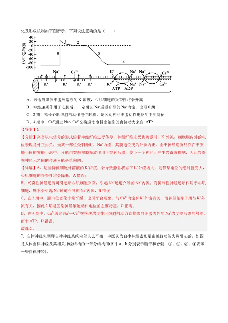 单元检测卷08稳态与调节（解析版）_2025年新高考资料_一轮复习_2025年高考生物一轮复习考点通关卷（新高考通用）