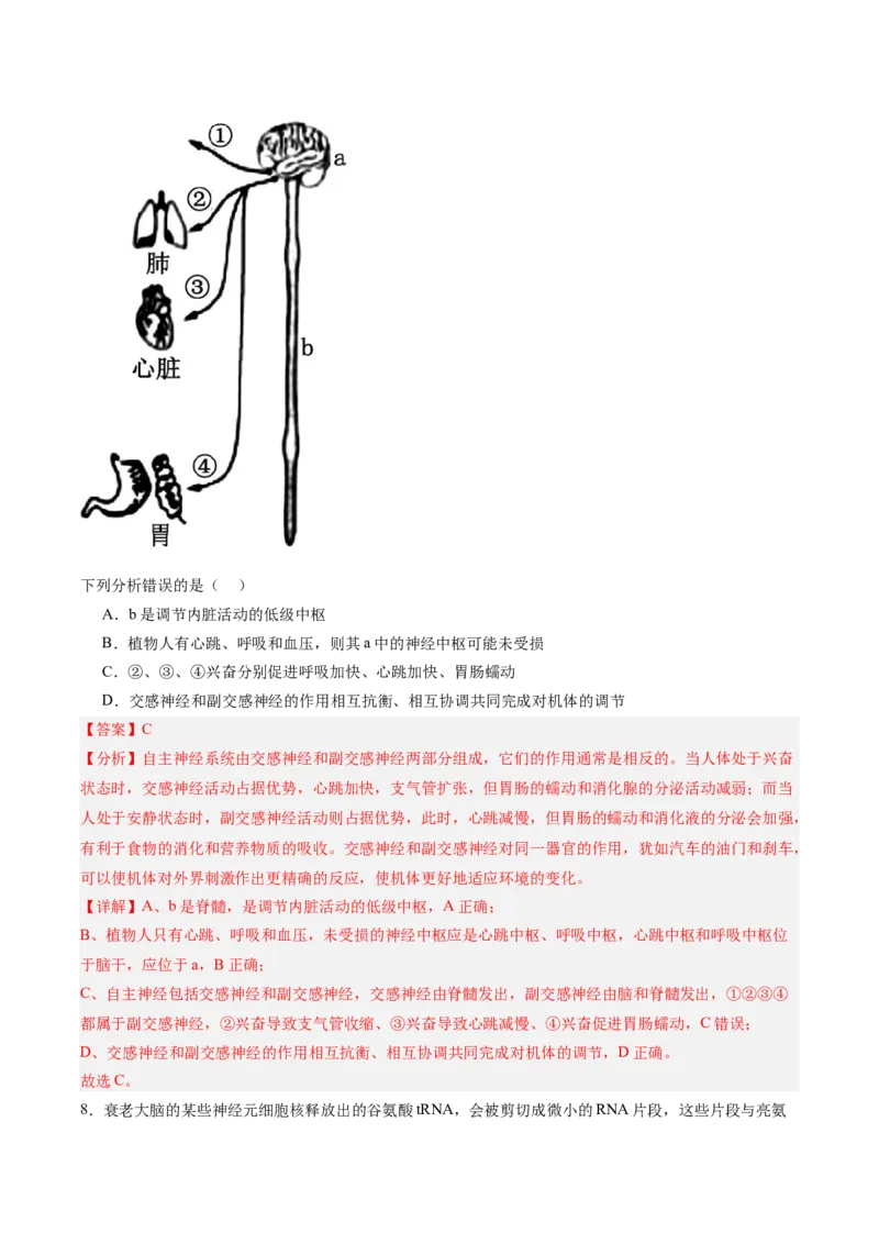 单元检测卷08稳态与调节（解析版）_2025年新高考资料_一轮复习_2025年高考生物一轮复习考点通关卷（新高考通用）