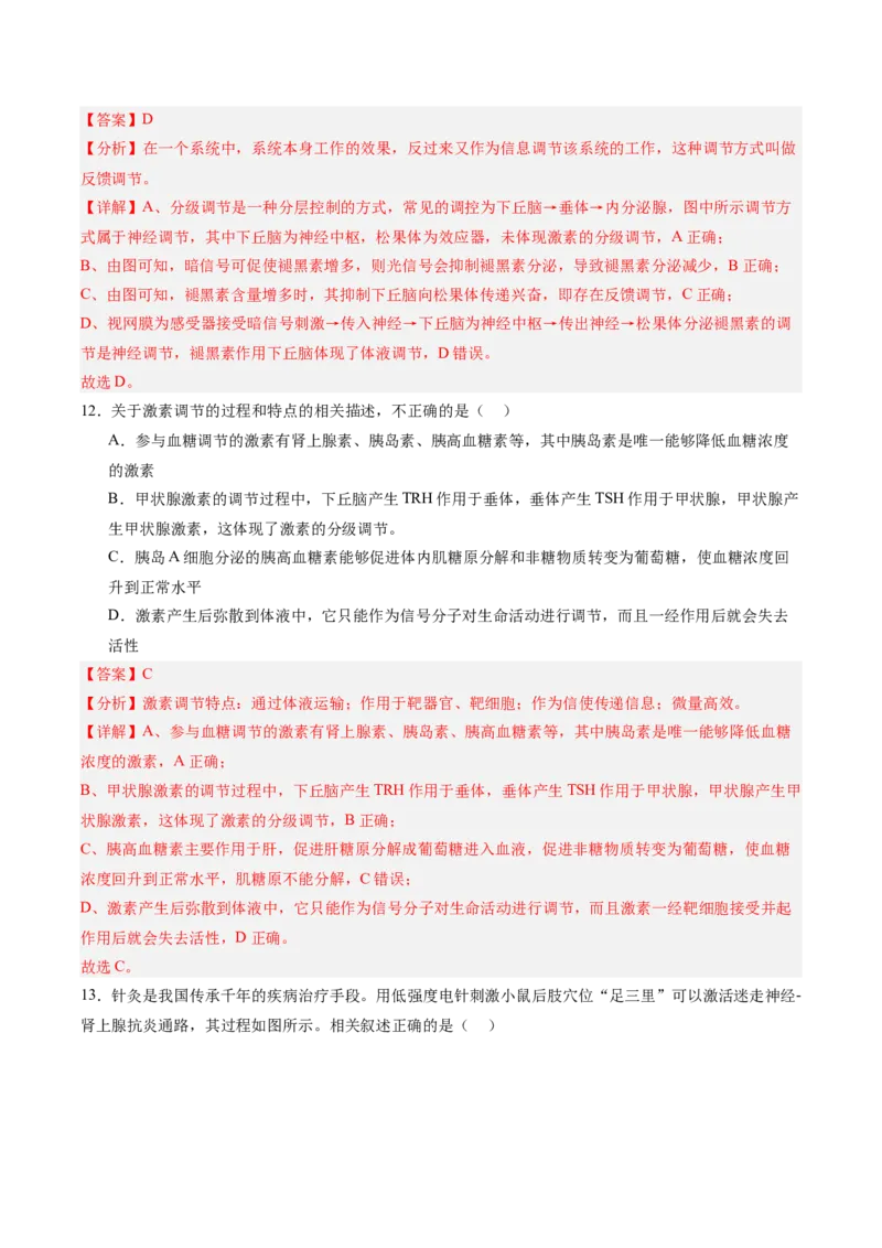 单元检测卷08稳态与调节（解析版）_2025年新高考资料_一轮复习_2025年高考生物一轮复习考点通关卷（新高考通用）