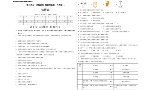 第五单元（第四章）细菌和真菌（选拔卷）-（人教版）（考试版）_初中全科电子版试卷练习试题_生物_生物8上练习_人教生物8年级上单元试卷48份