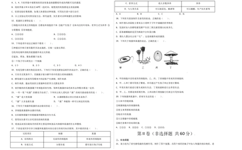 第五单元（第四章）细菌和真菌（选拔卷）-（人教版）（考试版）_初中全科电子版试卷练习试题_生物_生物8上练习_人教生物8年级上单元试卷48份