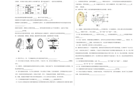 第五单元（第四章）细菌和真菌（选拔卷）-（人教版）（考试版）_初中全科电子版试卷练习试题_生物_生物8上练习_人教生物8年级上单元试卷48份