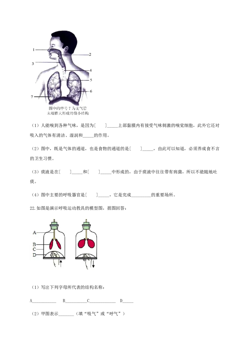 第三章人体的呼吸（基础过关）-（人教版）（原卷版）_初中全科电子版试卷练习试题_生物_生物人教版7下练习_人教生物7年级下单元试卷33份