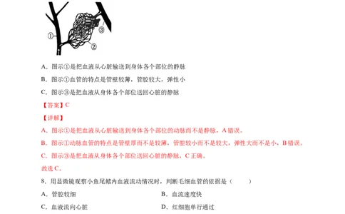 第四章人体内物质的运输（能力提升）-（人教版）（解析版）_初中全科电子版试卷练习试题_生物_生物人教版7下练习_人教生物7年级下单元试卷33份