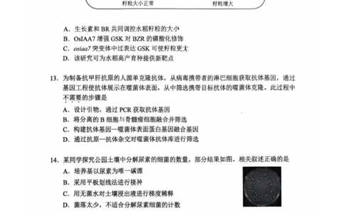 2026年北京西城区高三一模生物试卷及答案_2024-2026高三（6-6月题库）_2026年04月高三试卷_2604142026北京西城区高三一模（全科）