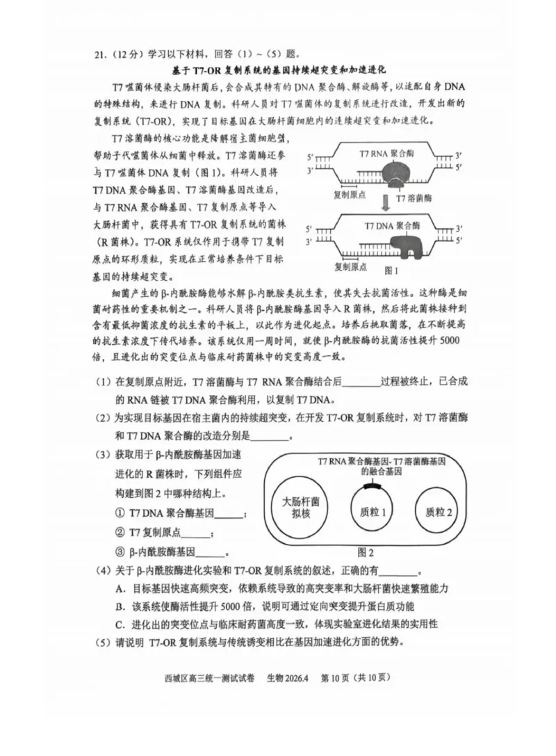 2026年北京西城区高三一模生物试卷及答案_2024-2026高三（6-6月题库）_2026年04月高三试卷_2604142026北京西城区高三一模（全科）
