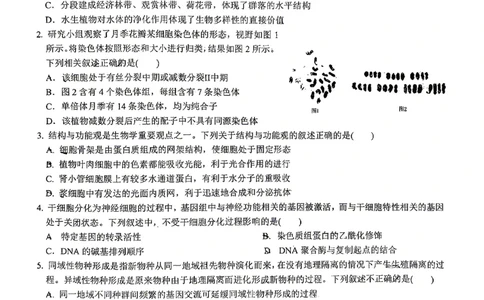 2026届高三揭阳二模生物试卷_2024-2026高三（6-6月题库）_2026年04月高三试卷_260428广东省揭阳市2025-2026学年度高三4月教学质量二模（全科）