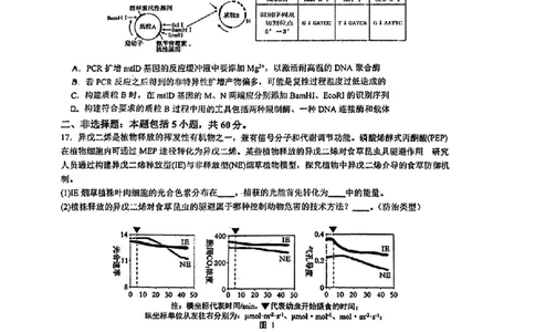 2026届高三揭阳二模生物试卷_2024-2026高三（6-6月题库）_2026年04月高三试卷_260428广东省揭阳市2025-2026学年度高三4月教学质量二模（全科）