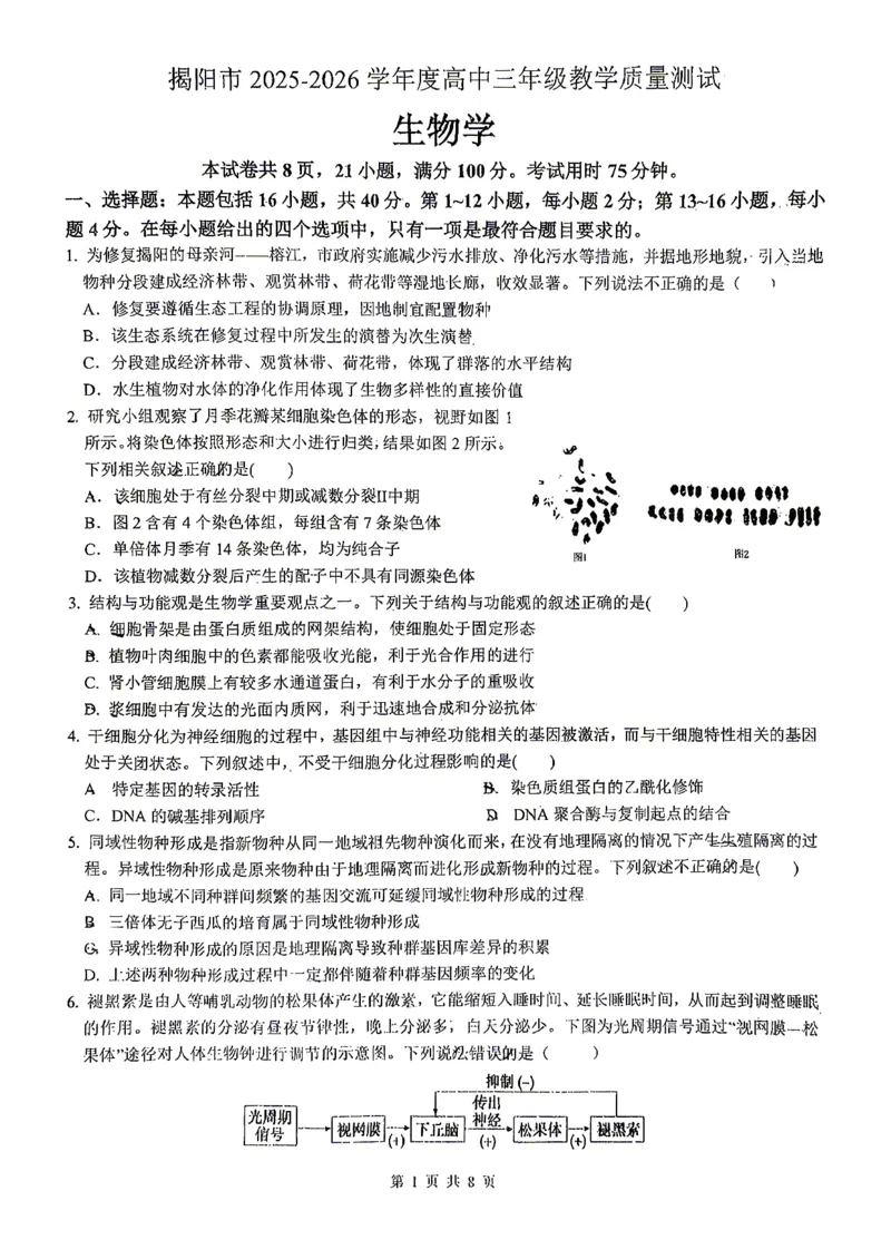 2026届高三揭阳二模生物试卷_2024-2026高三（6-6月题库）_2026年04月高三试卷_260428广东省揭阳市2025-2026学年度高三4月教学质量二模（全科）