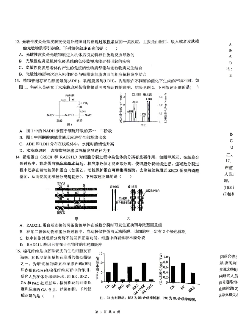2026届高三揭阳二模生物试卷_2024-2026高三（6-6月题库）_2026年04月高三试卷_260428广东省揭阳市2025-2026学年度高三4月教学质量二模（全科）