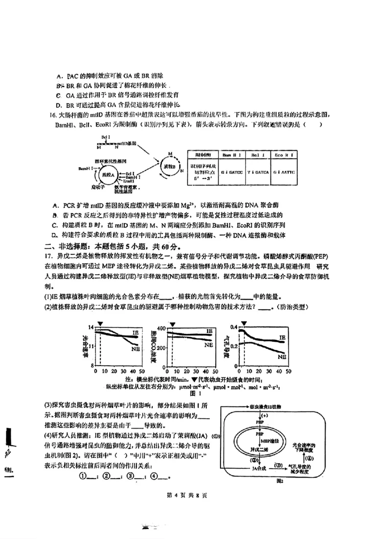 2026届高三揭阳二模生物试卷_2024-2026高三（6-6月题库）_2026年04月高三试卷_260428广东省揭阳市2025-2026学年度高三4月教学质量二模（全科）