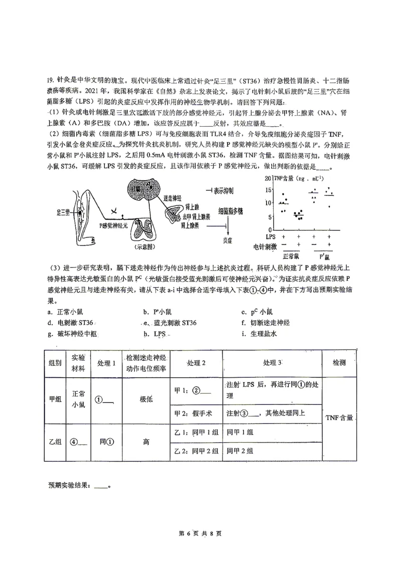 2026届高三揭阳二模生物试卷_2024-2026高三（6-6月题库）_2026年04月高三试卷_260428广东省揭阳市2025-2026学年度高三4月教学质量二模（全科）