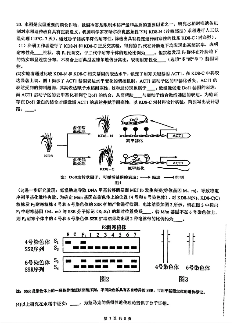 2026届高三揭阳二模生物试卷_2024-2026高三（6-6月题库）_2026年04月高三试卷_260428广东省揭阳市2025-2026学年度高三4月教学质量二模（全科）