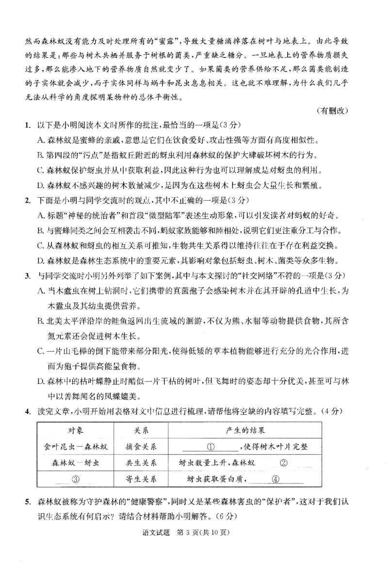 2023级高三下学期定时练习语文_2024-2026高三（6-6月题库）_2026年04月高三试卷_260430成都市2026年高三下学期4月定时练习（成都三诊）（全科）