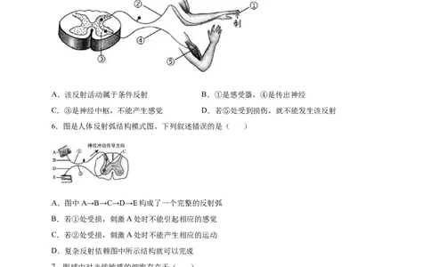 第六单元人体生命活动的调节（选拔卷）-单元测试（人教版）（原卷版）_初中全科电子版试卷练习试题_生物_生物人教版7下练习_人教生物7年级下单元试卷33份
