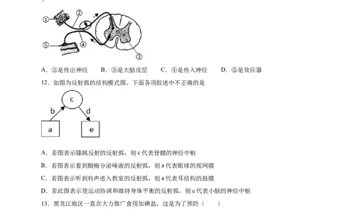 第六单元人体生命活动的调节（选拔卷）-单元测试（人教版）（原卷版）_初中全科电子版试卷练习试题_生物_生物人教版7下练习_人教生物7年级下单元试卷33份