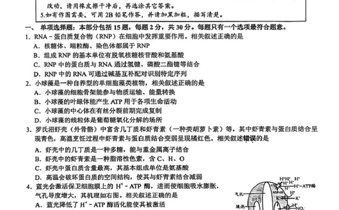 2026届江苏南通市通州区高三下学期模拟预测生物试题（含答案）_2024-2026高三（6-6月题库）_2026年03月高三试卷_2603172026届江苏南通通州区高三下学期二模