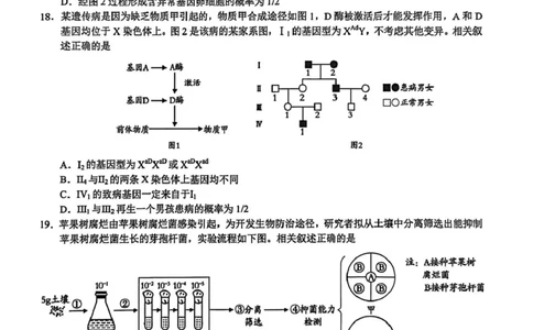 2026届江苏南通市通州区高三下学期模拟预测生物试题（含答案）_2024-2026高三（6-6月题库）_2026年03月高三试卷_2603172026届江苏南通通州区高三下学期二模