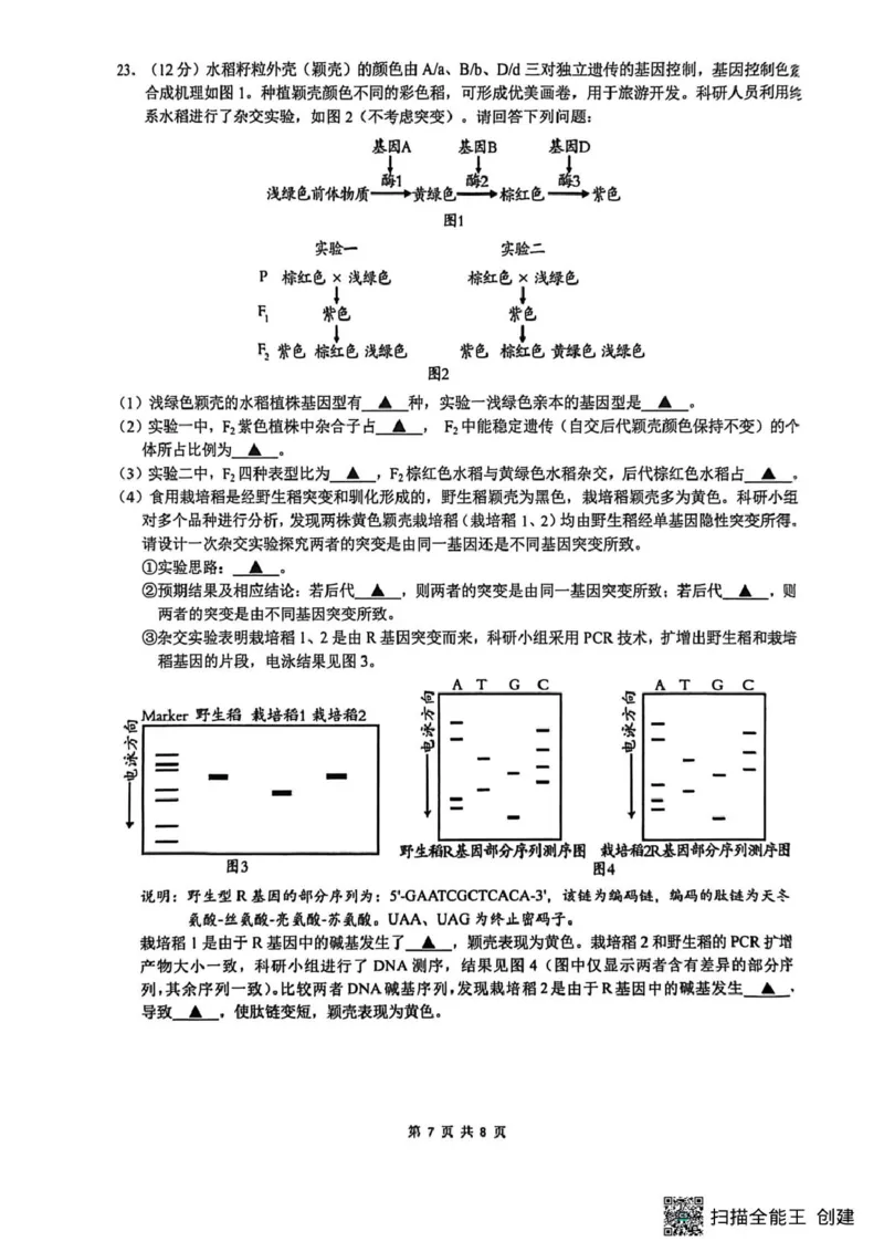 2026届江苏南通市通州区高三下学期模拟预测生物试题（含答案）_2024-2026高三（6-6月题库）_2026年03月高三试卷_2603172026届江苏南通通州区高三下学期二模