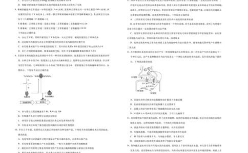 原创（新高考）2021届高考考前冲刺卷生物（十二）学生版_新高考复习资料_2021年新高考资料_2021届高考考前冲刺卷（新高考）5.31更新