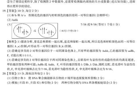 2026届高三4月模拟考试生物答案_2024-2026高三（6-6月题库）_2026年04月高三试卷_260419安徽省江淮十校2026届高三下学期4月模拟考试（安庆市高三三模）（全科）