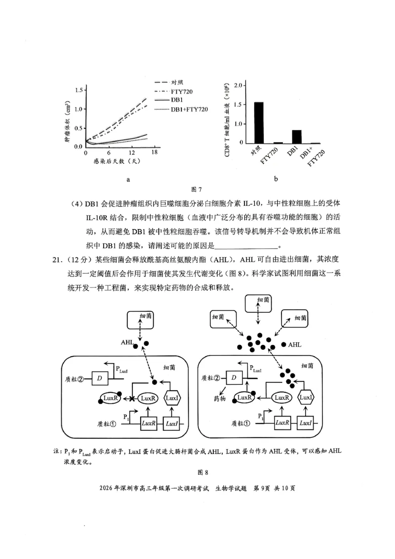 2026年深圳市高三年级第一次调研考试生物试卷_2024-2026高三（6-6月题库）_2026年03月高三试卷_2603082026年深圳市高三年级第一次调研考试（深圳一模）（全科）