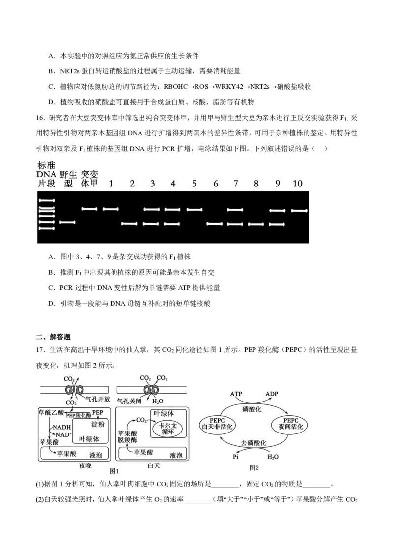 西北工业大学附属中学2026届高三下学期第十一次适应性训练生物试卷（含答案）_2024-2026高三（6-6月题库）_2026年04月高三试卷