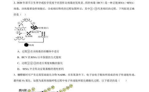 西北工业大学附属中学2026届高三下学期第十一次适应性训练生物试卷（含答案）_2024-2026高三（6-6月题库）_2026年04月高三试卷