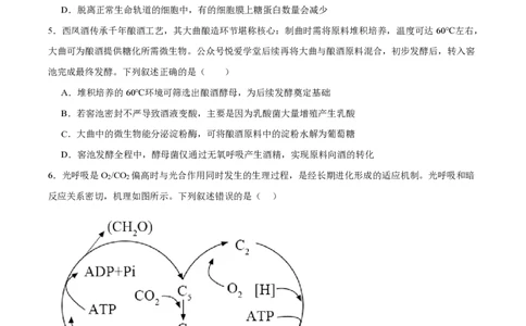 西北工业大学附属中学2026届高三下学期第十一次适应性训练生物试卷（含答案）_2024-2026高三（6-6月题库）_2026年04月高三试卷