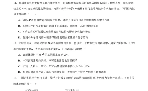 西北工业大学附属中学2026届高三下学期第十一次适应性训练生物试卷（含答案）_2024-2026高三（6-6月题库）_2026年04月高三试卷