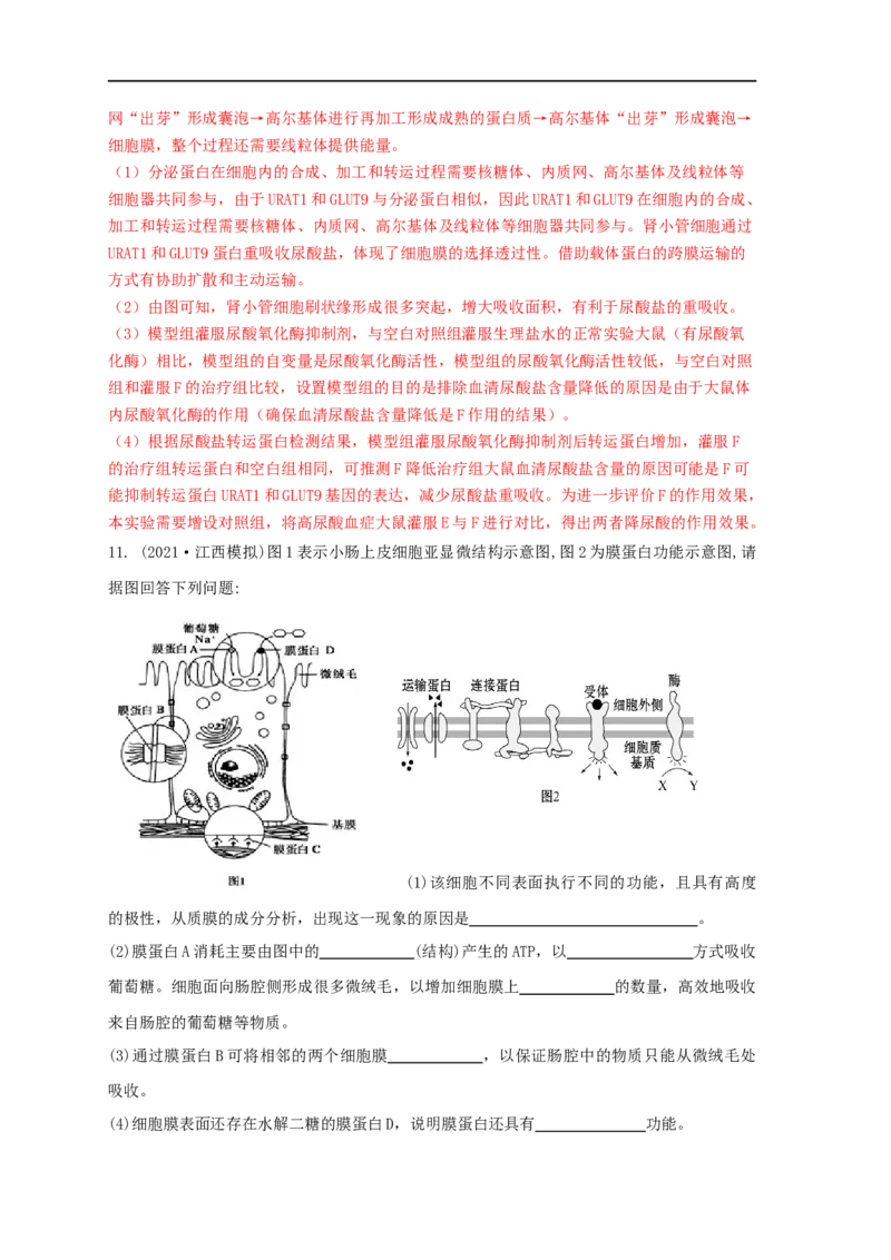 易错点04生物膜的组成和作用-备战2023年高考生物考试易错题（全国通用）（解析版）_通用版（老高考）复习资料_2023年复习资料_专项复习_备战2023年高考生物考试易错题（全国通用）