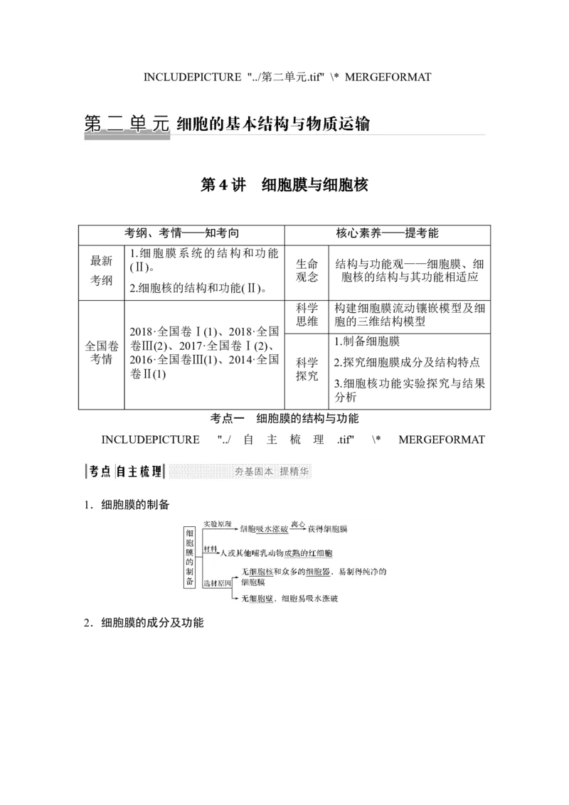 必修一第二单元第4讲_新高考复习资料_2022年新高考复习资料_2022年一轮复习最新版_1.2022年高考生物一轮复习全国通用版_2022年新高考生物一轮复习讲义（最新版）_赠送word习题库