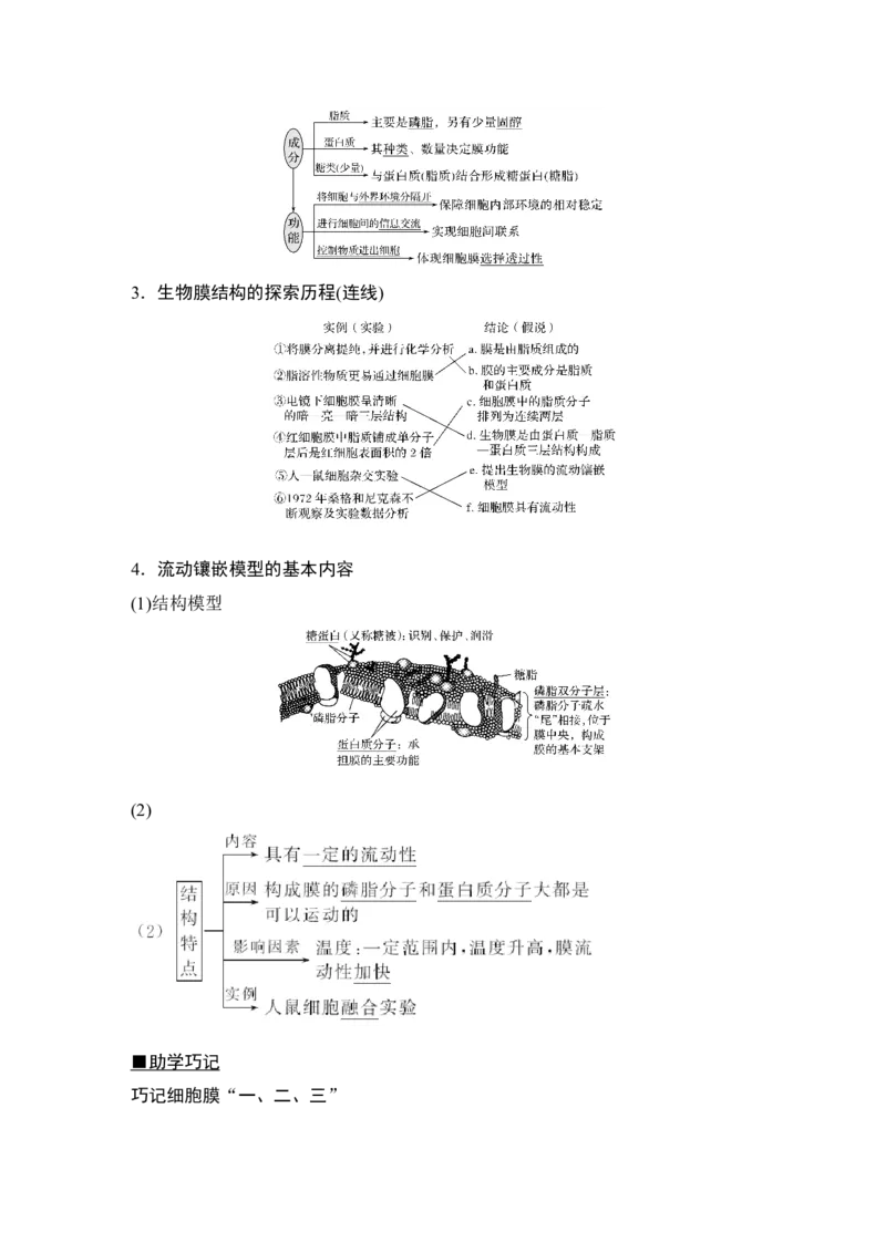 必修一第二单元第4讲_新高考复习资料_2022年新高考复习资料_2022年一轮复习最新版_1.2022年高考生物一轮复习全国通用版_2022年新高考生物一轮复习讲义（最新版）_赠送word习题库