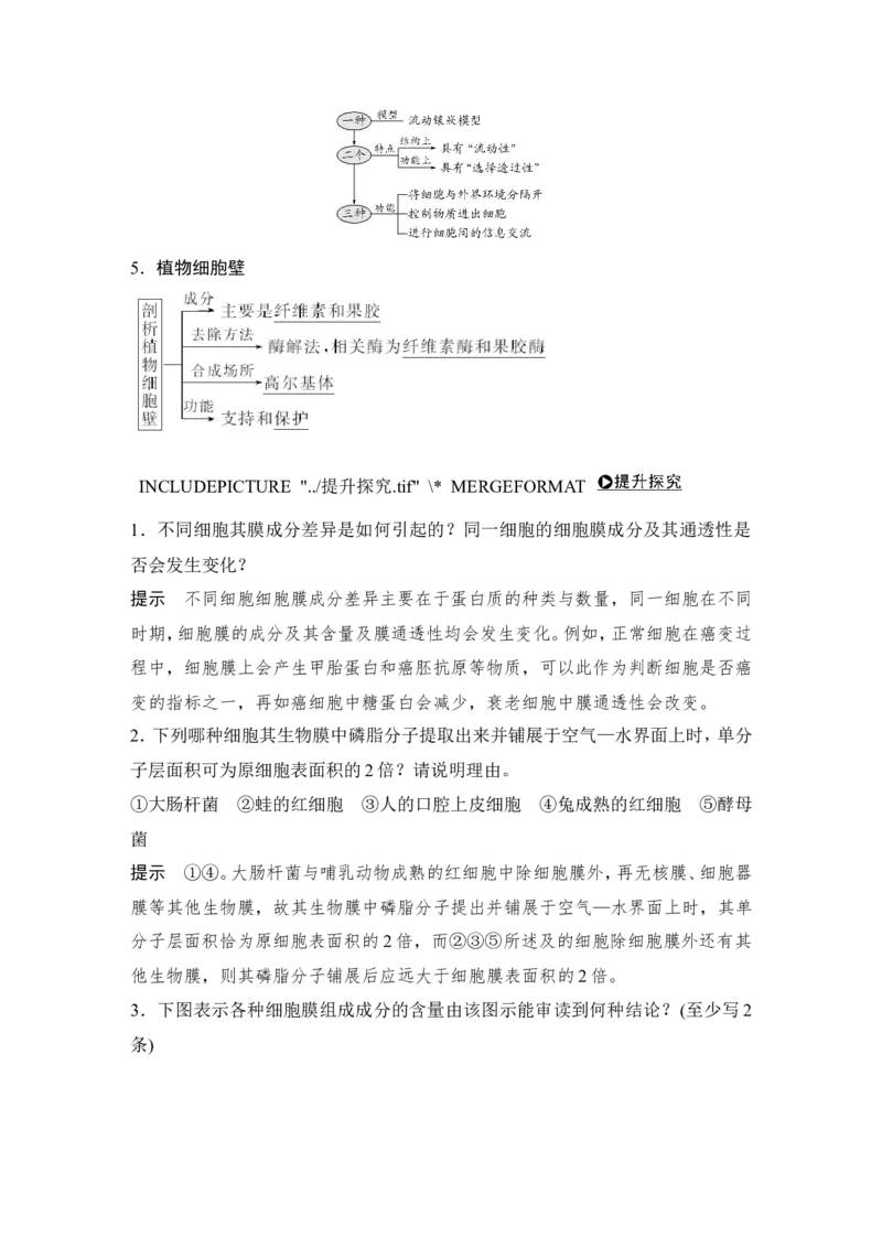 必修一第二单元第4讲_新高考复习资料_2022年新高考复习资料_2022年一轮复习最新版_1.2022年高考生物一轮复习全国通用版_2022年新高考生物一轮复习讲义（最新版）_赠送word习题库