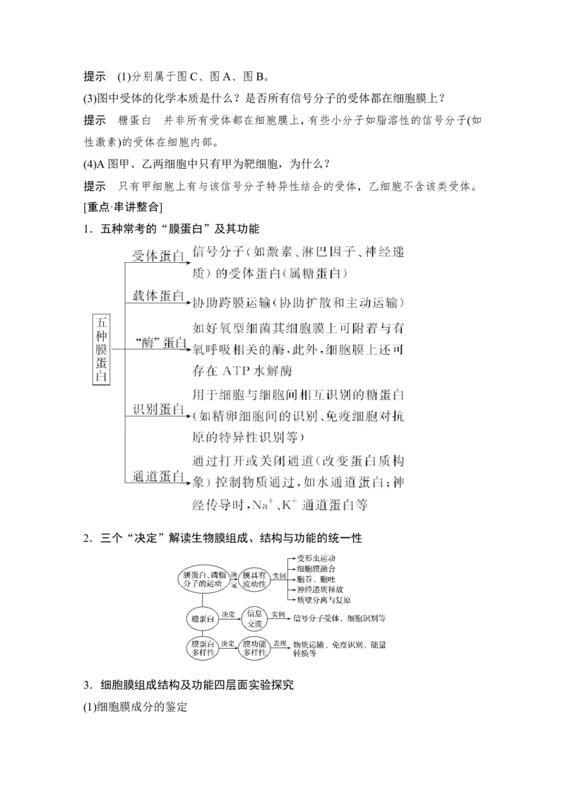 必修一第二单元第4讲_新高考复习资料_2022年新高考复习资料_2022年一轮复习最新版_1.2022年高考生物一轮复习全国通用版_2022年新高考生物一轮复习讲义（最新版）_赠送word习题库