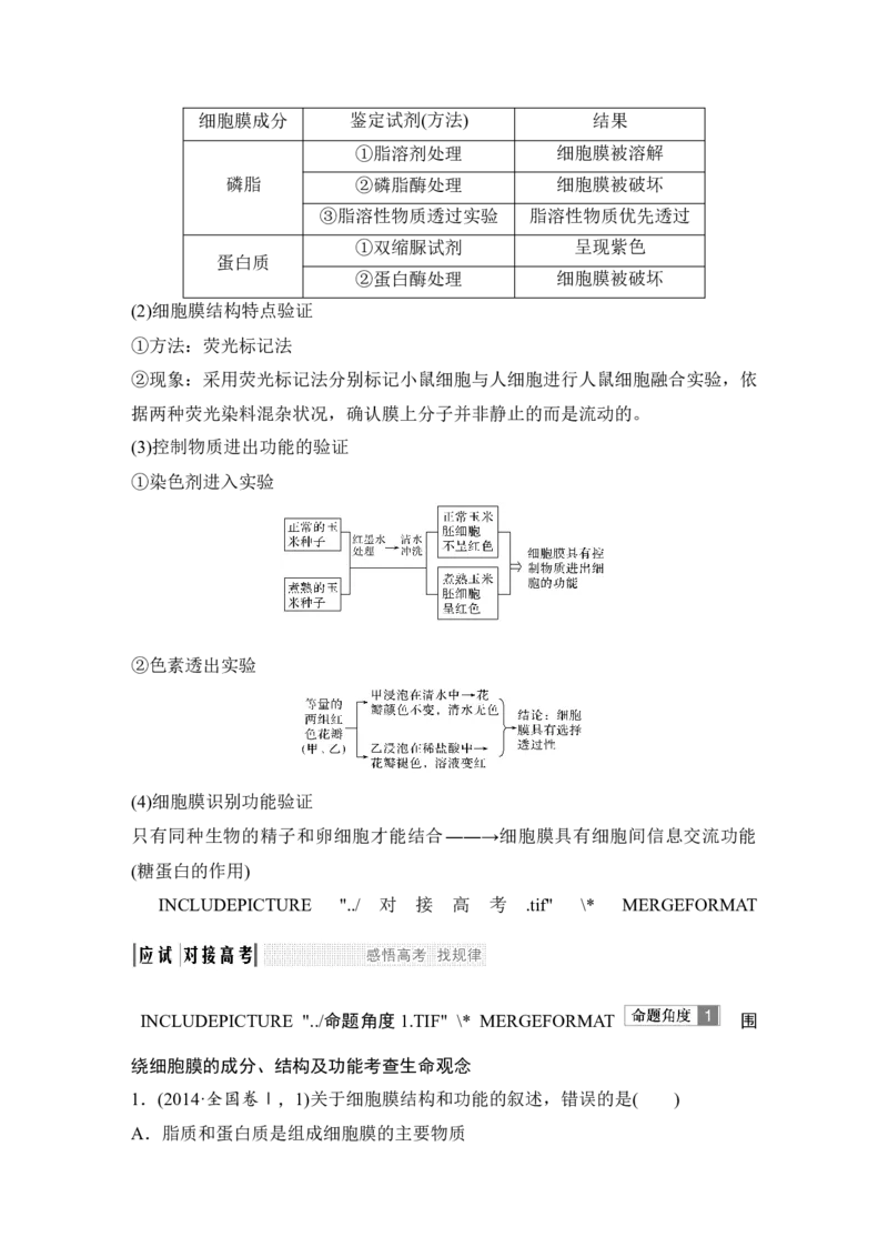 必修一第二单元第4讲_新高考复习资料_2022年新高考复习资料_2022年一轮复习最新版_1.2022年高考生物一轮复习全国通用版_2022年新高考生物一轮复习讲义（最新版）_赠送word习题库