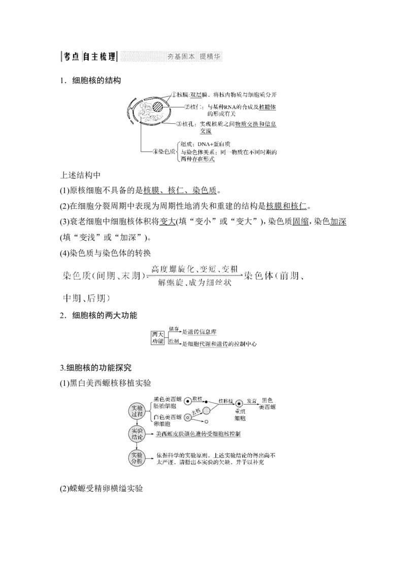 必修一第二单元第4讲_新高考复习资料_2022年新高考复习资料_2022年一轮复习最新版_1.2022年高考生物一轮复习全国通用版_2022年新高考生物一轮复习讲义（最新版）_赠送word习题库