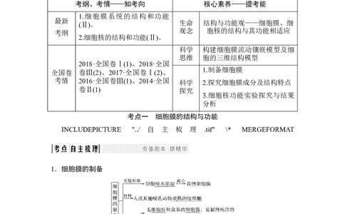 必修一第二单元第4讲_新高考复习资料_2022年新高考复习资料_2022年一轮复习最新版_1.2022年高考生物一轮复习全国通用版_2022年新高考生物一轮复习讲义（最新版）_赠送word习题库