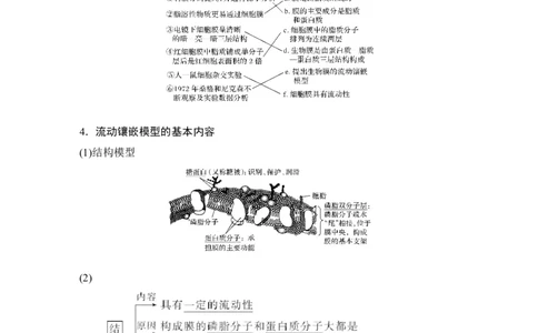 必修一第二单元第4讲_新高考复习资料_2022年新高考复习资料_2022年一轮复习最新版_1.2022年高考生物一轮复习全国通用版_2022年新高考生物一轮复习讲义（最新版）_赠送word习题库