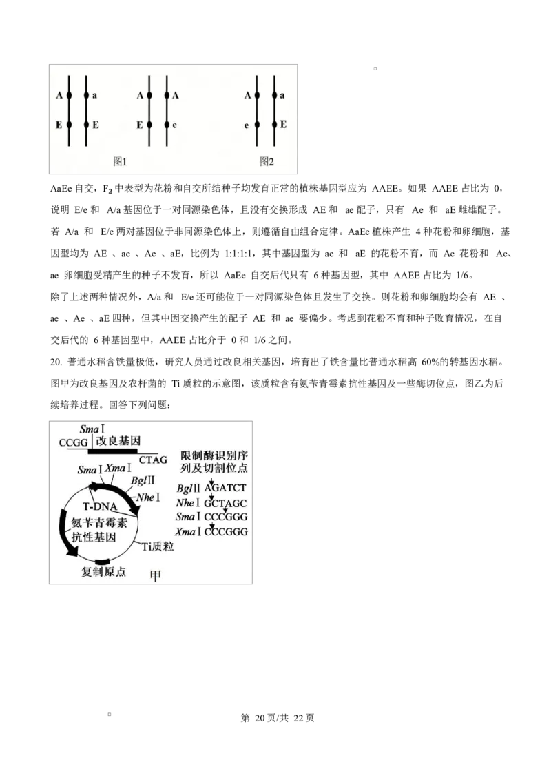 精品解析：2026届四川省绵阳市涪城区四川省绵阳南山中学高三模拟预测生物试题（解析版）_2024-2026高三（6-6月题库）_2026年03月高三试卷